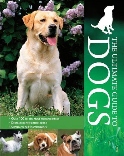 Encyclopedia