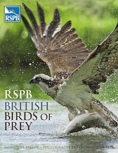 RSPB British Birds of Prey