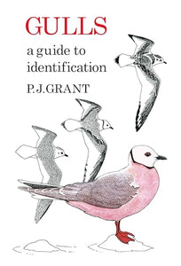 Gulls: A Guide to Identification. 2nd Edition 