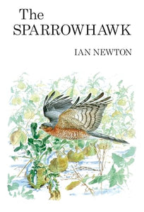 The Sparrowhawk 