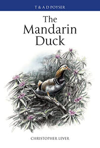 The Mandarin Duck 