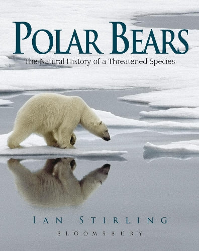 Polar Bears