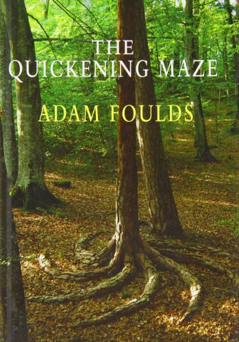 The Quickening Maze