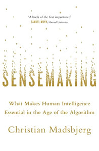 Sensemaking 