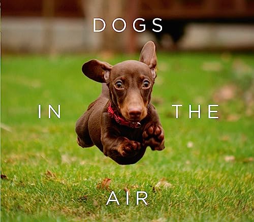 Dogs in the Air