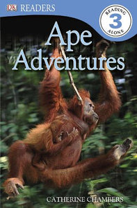 Ape Adventures 