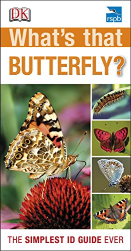 RSPB What's that Butterfly?