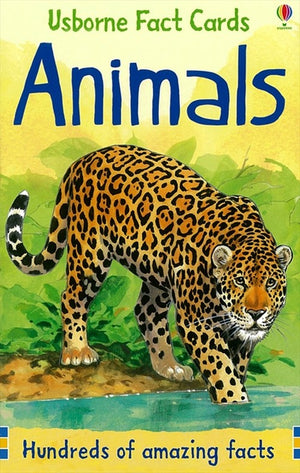 Fact Cards Animals