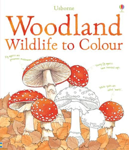 Woodland Wildlife to Colour 
