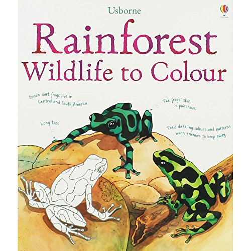 Rainforest Wildlife to Colour