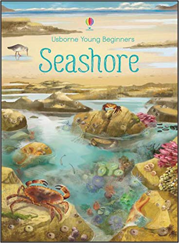 Seashore