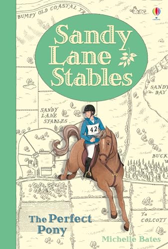 Sandy Lane Stables The Perfect Pony