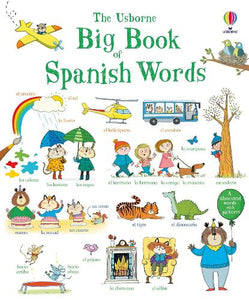 Big Book of Spanish Words 