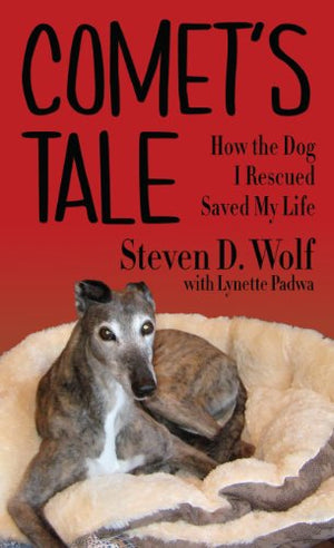 Comet's Tale