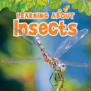 Learning about Insects
