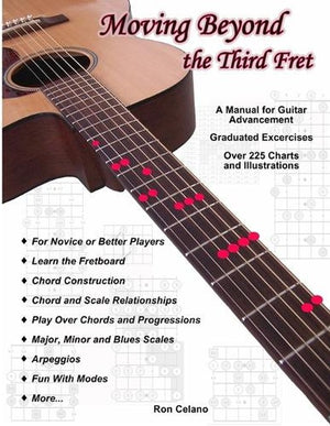 Moving Beyond the Third Fret (bw)