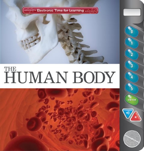 Human Body