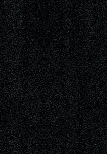 Life Application Study Bible