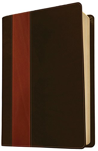 Life Application Study Bible-NLT-Personal Size