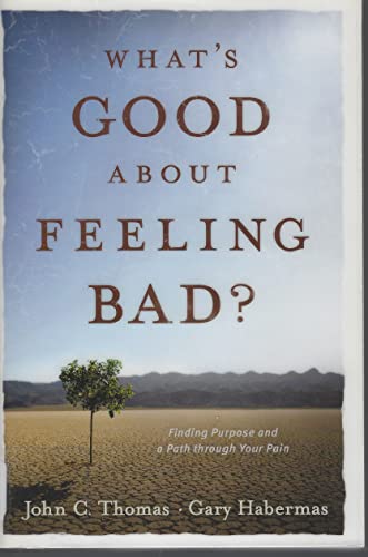 What's Good about Feeling Bad?