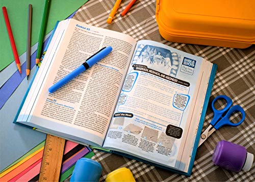 NLT Hands-On Bible Updated Edition Sugar Plum