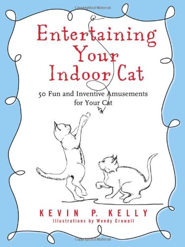 Entertaining Your Indoor Cat