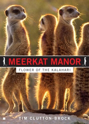 Meerkat Manor