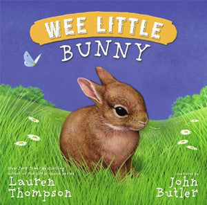 Wee Little Bunny