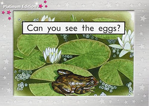 Can You See the Eggs?