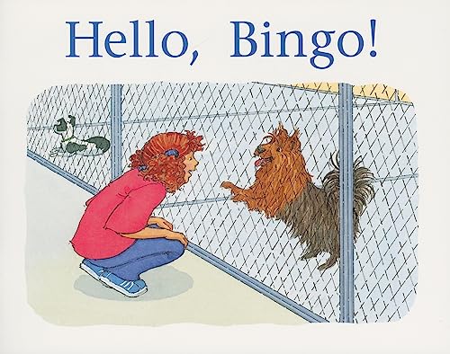 Hello, Bingo!