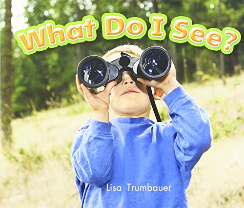What Do I See?