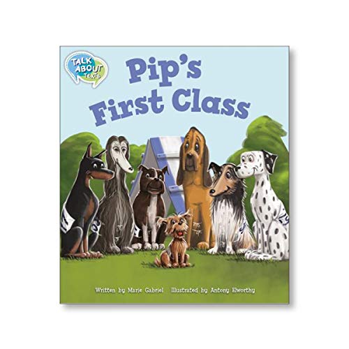 TA L13 Pip's First Class