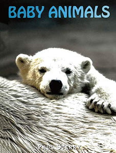 Baby Animals 