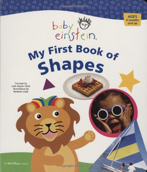 My First Book of Shapes