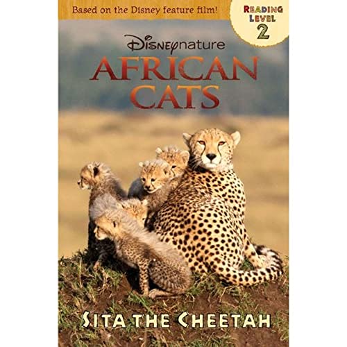 African Cats Sita the Cheetah