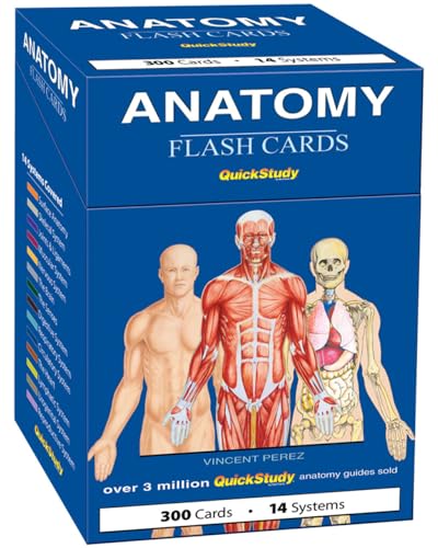 Anatomy Flash Cards (300 cards)