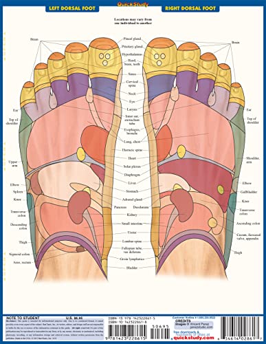 Reflexology