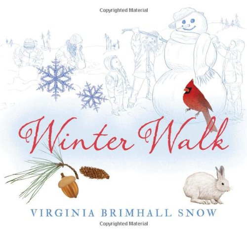 Winter Walk