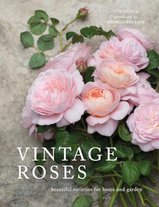 Vintage Roses 