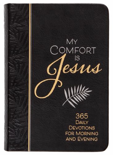 My Comfort is Jesus
