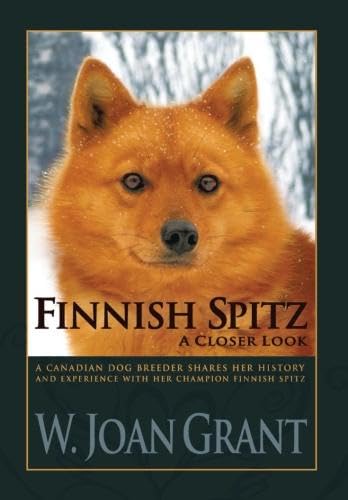 Finnish Spitz