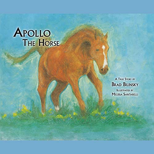 Apollo the Horse