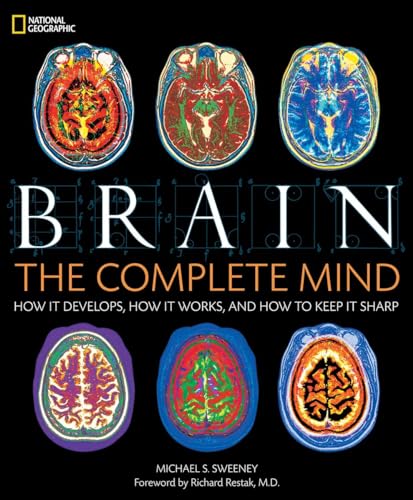 Brain