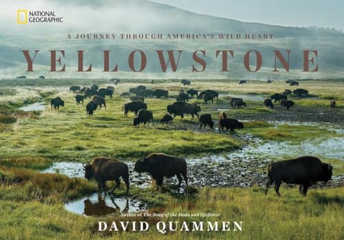Yellowstone