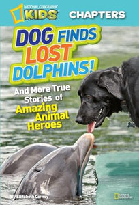 Dog Finds Lost Dolphins! 
