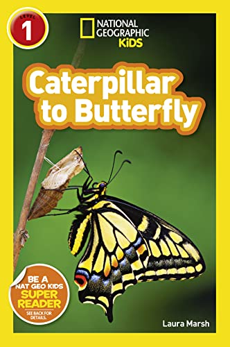 National Geographic Kids Readers: Caterpillar to Butterfly