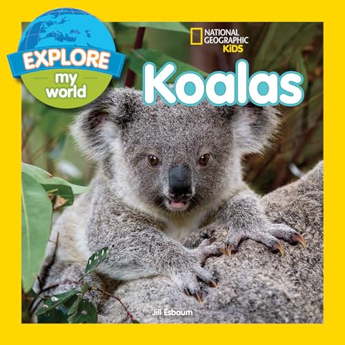 Explore My World: Koalas