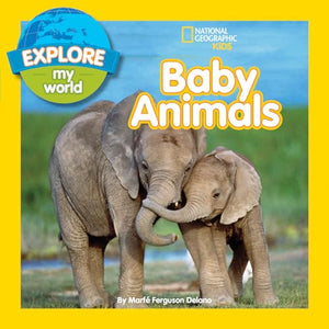 Explore My World: Baby Animals 