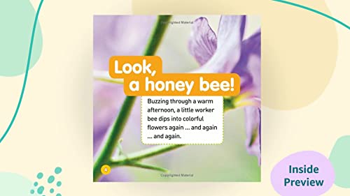 Explore My World: Honey Bees