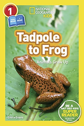 National Geographic Kids Readers: Tadpole to Frog (L1/Co-reader)